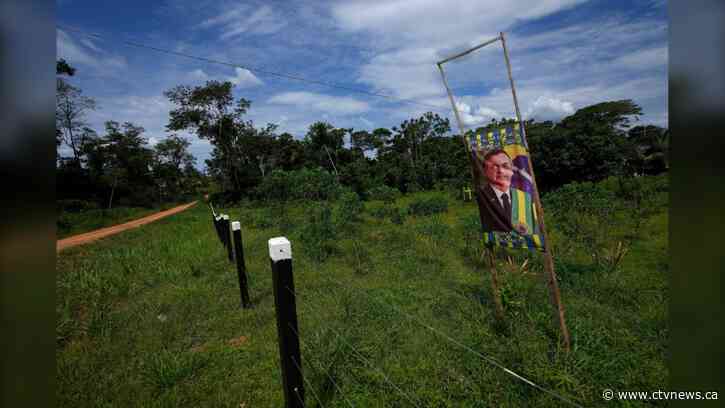 Brazil's new president works to reverse Amazon deforestation
