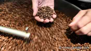 Frisch gerösteten Kaffee in Wittenberge und online kaufen - svz – Schweriner Volkszeitung