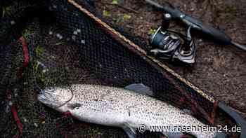 Unbekannte stehlen Störe und Forellen aus Fischteichen - 1700 Euro Schaden