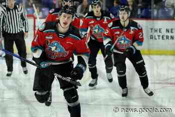 Wrong socks, no problem: Kelowna Rockets snap losing streak in ... - Kelowna Capital News