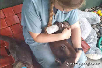 Langley wildlife shelter holds 50/50 Mega Draw - Aldergrove Star - Aldergrove Star