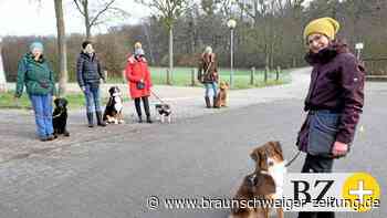 Augen auf vor dem Hundekauf – Tipps von Wolfsburger Experten