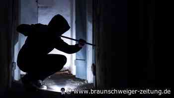 Helmstedter Ehepaar fasst zwei Einbrecher auf frischer Tat