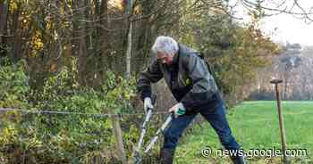 Supervrijwilliger Toin van Lint (bijna 92) uit Zundert blijft schoffelen ... - AD