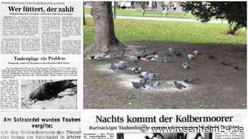 Gift, Bußgelder und „notorische Taubenfütterer“: Tiere sind seit bald 70 Jahren Thema