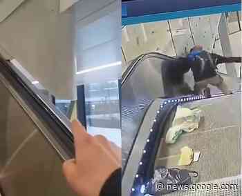 Menino de 11 anos fratura mandíbula em acidente com escada ... - Crescer