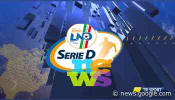 Serie D: la Cavese rallenta, il Barletta pure. Accorciano Nardò e ... - TeleRama News