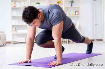 Scientists Discover Species of Gut Microbes That Can Boost the Motivation To Exercise