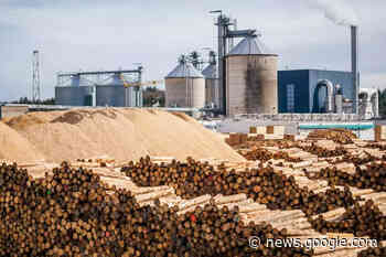 Rekordeinschnitt und neue Werksleitung bei Pfeifer Lauterbach - Oberhessen-live