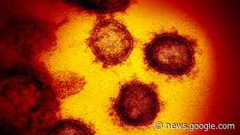 Corona: Neue Variante XBB.1.5 in den USA – Lauterbach will ... - Berliner Morgenpost