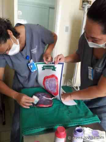 Projeto Árvore da Vida da Santa Casa de Birigui eterniza a emoção ... - Hojemais