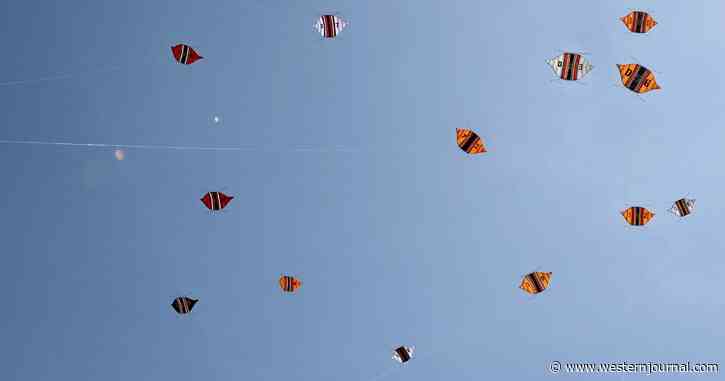 6 Dead, Including 3 Children, After Kite Strings Slit Their Throats at Festival