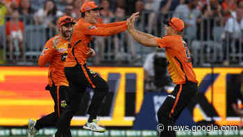 What a leap! Hobson soars for another Perth Stadium stunner - cricket.com.au