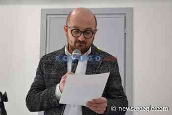 Adria: abbattuti cinque platani malati lungo viale Maddalena - Rovigo.News