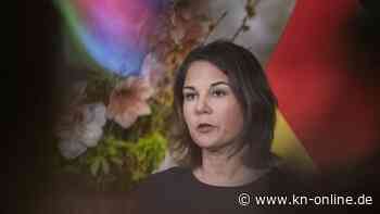 Baerbock über Leopard-Lieferungen anderer Länder: „Würden nicht im Weg stehen“