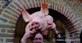 Zalfenkermis beleeft weldra eindelijk vijftigste editie - Het Laatste Nieuws