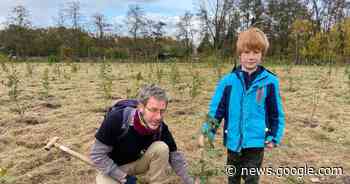 Kom mee 1.300 bomen planten in de Leemstraat - Het Laatste Nieuws