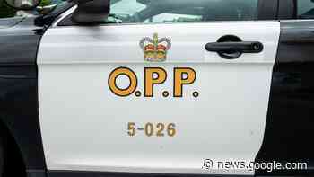 Ancaster man killed in single-vehicle collision in Brant County - CP24