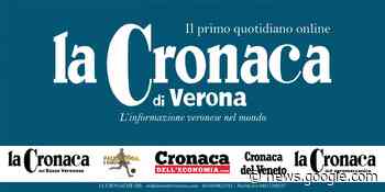 Cerea. “Da Vinci’’, un percorso biomedico - La Cronaca di Verona