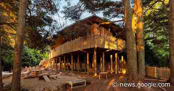 leaf-shaped roof tops gaia forest preschool center's structure in new ... - Designboom