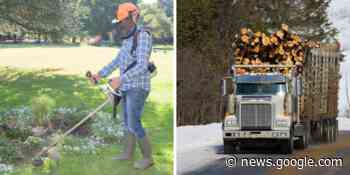 12 Available Montreal Jobs That Don't Require Any Experience ... - MTL Blog