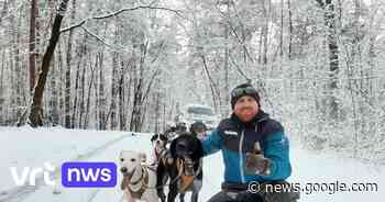 BEKIJK - Sleehondendrijver Stefan traint met zijn dieren in de ... - VRT.be