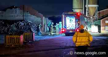 Drie kalfjes komen om in stalbrand, vier dieren gered in Halle - AD