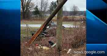 19-year-old dead after car strikes hydro pole in Brant County, Ont.: OPP - Global News