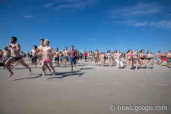 Take the ‘Plunge’ at Annual Event in Brant Beach - The SandPaper