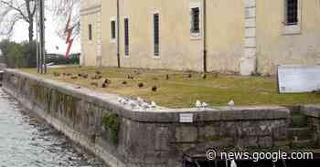 Manca acqua: Garda e Adige mai così “asciutti” a gennaio - Trentino