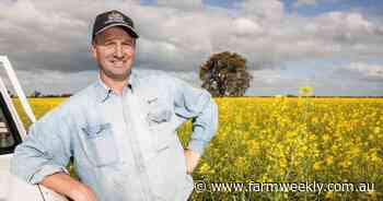 An upside to US hybrid wheat release