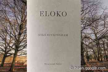 Review: Eloko by Mike Buckingham - Nation.Cymru