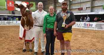 Young Ayrshire cow makes history at International Dairy Week