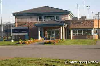 Pigeon toting crystal meth in tiny backpack caught in Abbotsford ... - Castlegar News