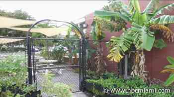 Political Commentator Allegedly Kicked Out of Restaurant in Miami