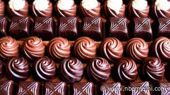 Need a Sweet Fix? Festival of Chocolate Takes Over Fairchild Tropical Botanical Garden