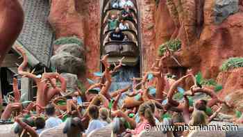 Splash Mountain Has One Last Weekend in Disney World Before ‘Princess and the Frog' Makeover