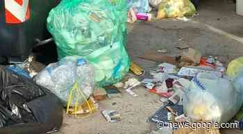 Pontedera, il grido d'aiuto dalle case popolari: «Viviamo sommersi ... - Il Tirreno