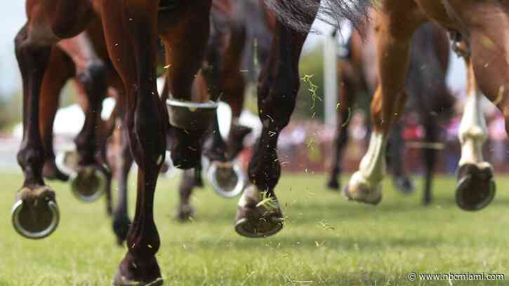 Exercise Rider Killed in Florida Horse Track Accident: Reports