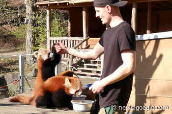 Nach der Schule Zoo-Luft im Zoo Neuwied schnuppern - NR-Kurier - Internetzeitung für den Kreis Neuwied