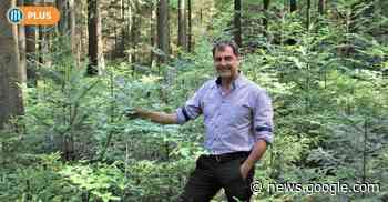 Aus dem Wald in die Zentrale: Rudolf Zwicknagl verlässt den ... - Mittelbayerische Zeitung