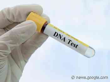 Hamilton man charged by police with 1994 sexual assault in Kingston - The Kingston Whig-Standard