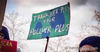 Bras de vert – vert.eco - Vert