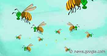 La justice européenne interdit les pesticides néonicotinoïdes pour ... - Vert