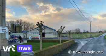 Vogelgriep vastgesteld in pluimveebedrijf in Wervik - VRT.be