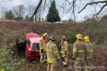 Monday morning collision sends vehicle down Central Saanich ... - vancouverislandfreedaily.com