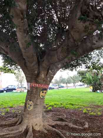 Sfregi al verde pubblico di Soverato - Soverato Web