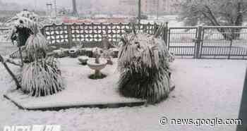 LE FOTO DEI LETTORI: ecco Rieti sotto la neve, fiocchi anche in ... - Rieti Life