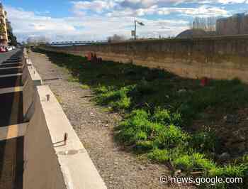 Albenga, Tomatis (Fdi): "Lavori sull'argine del Centa ancora fermi ... - IVG.it