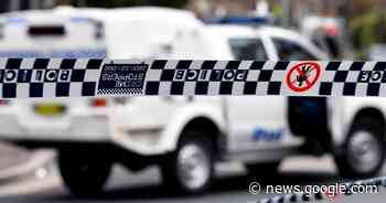 Dog thrown off NSW cliff, cops investigate - Western Advocate